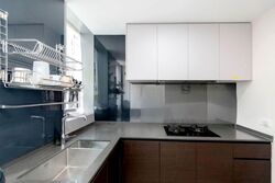 Amber Park (D15), Condominium #561318331